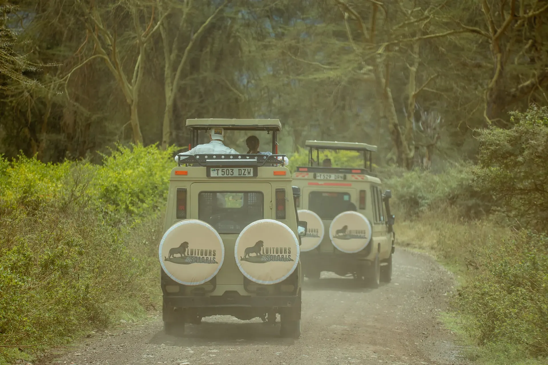 Full-Day Game Drive in Central Serengeti – Overnight at Serengeti Safari Lodge experience