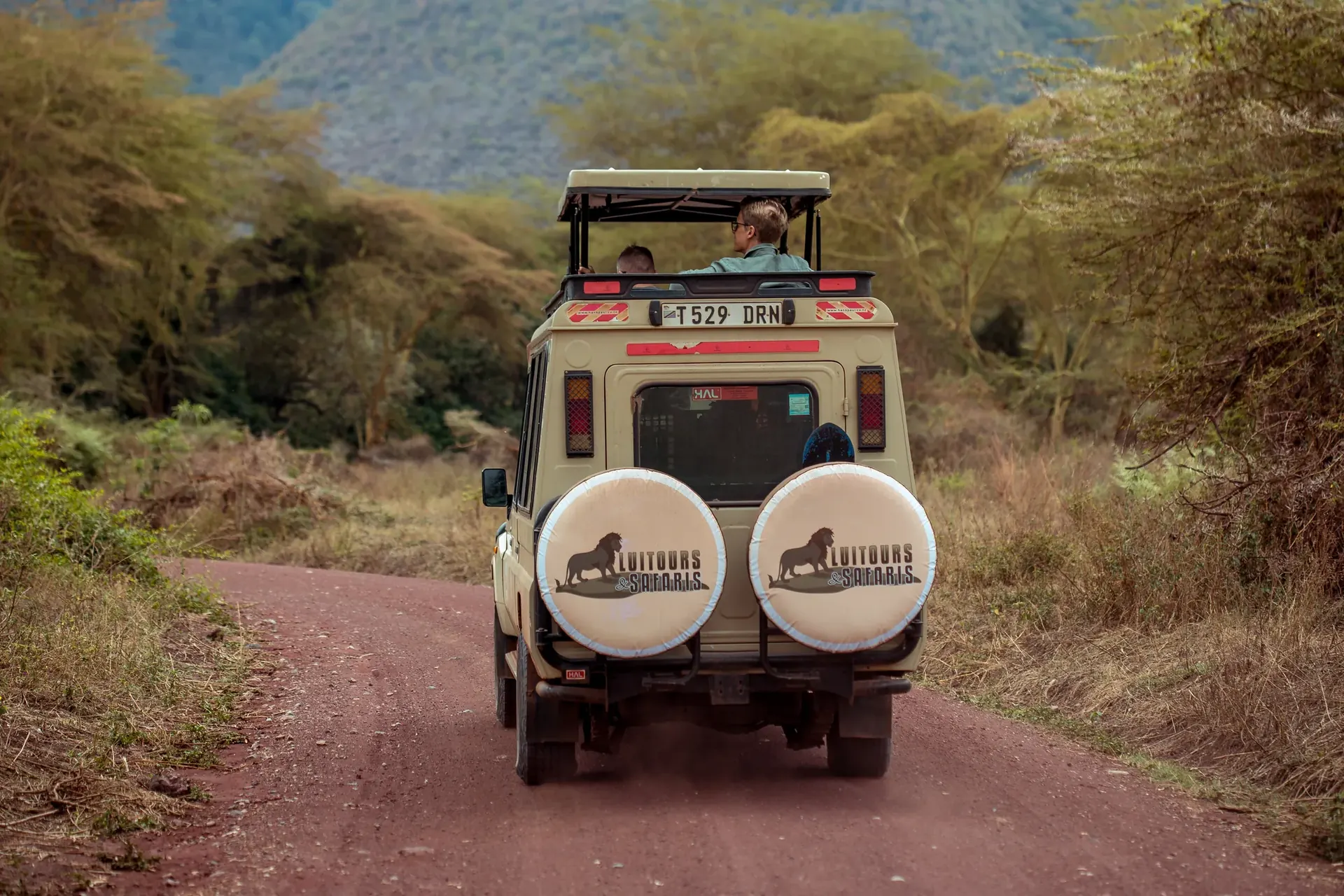 Full-Day Game Drive in Central Serengeti – Overnight at Serengeti Safari Lodge scenery