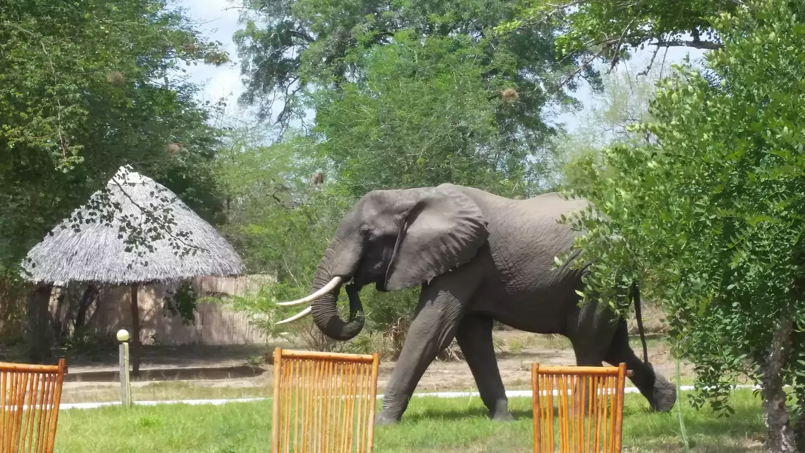 Africa Safari Selous exterior near Nyerere National Park