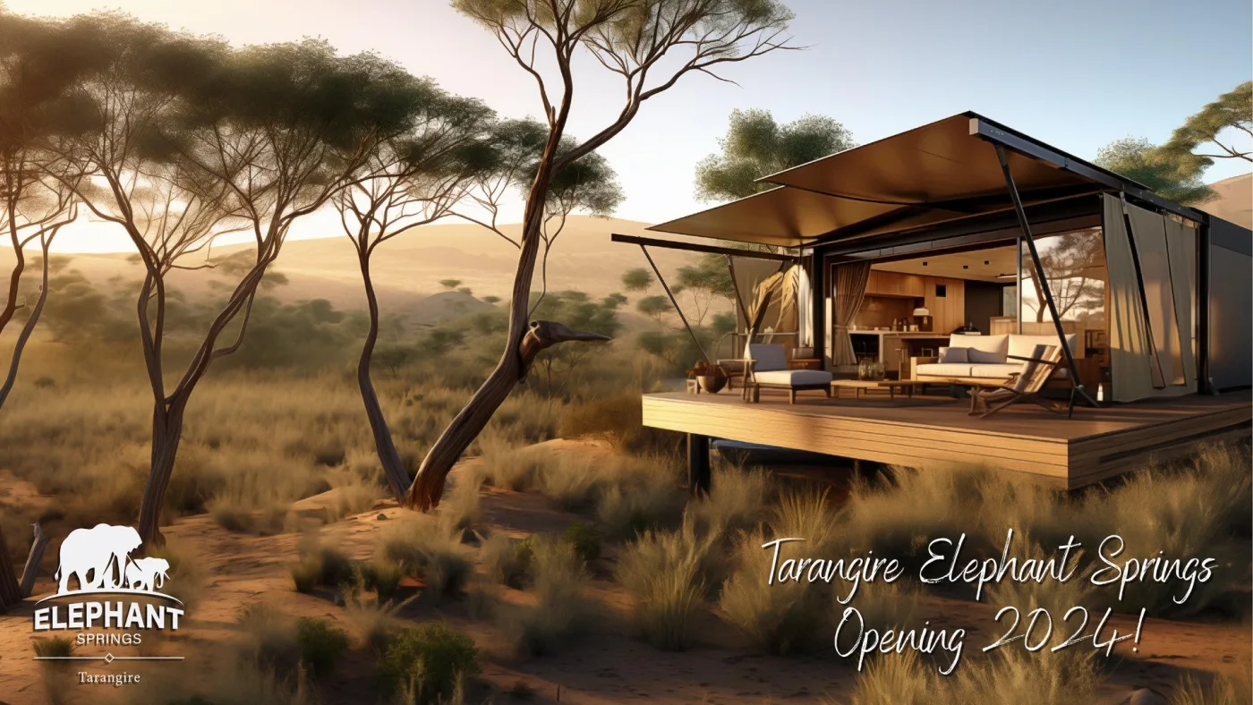 Exterior of Elephant Springs in Tarangire National Park