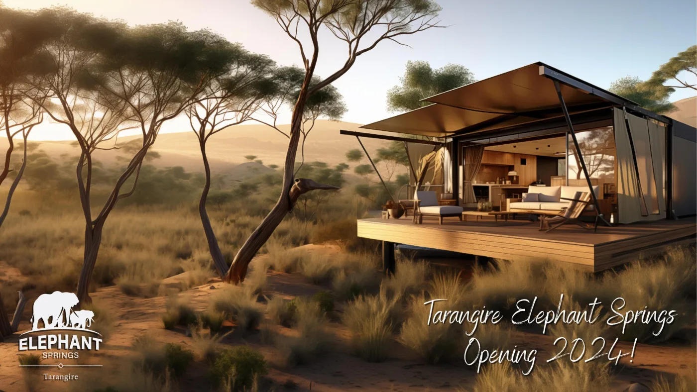 Exterior of Elephant Springs in Tarangire National Park