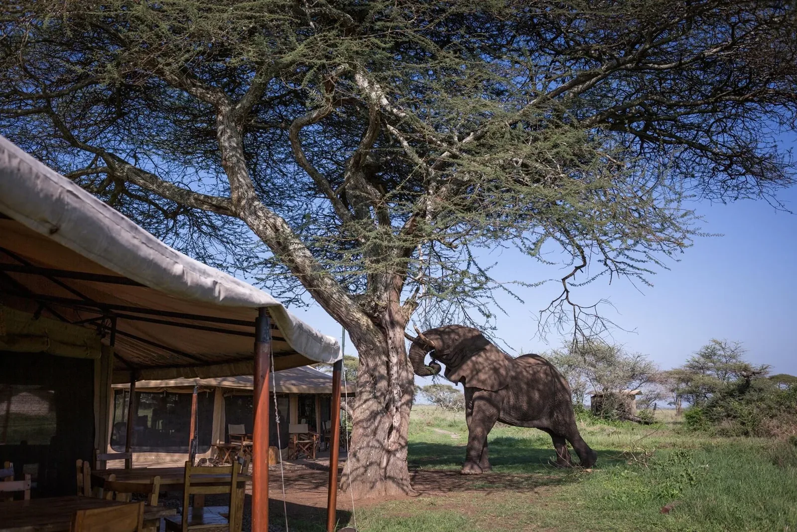 Mawe Tented Camp exterior in the Central Serengeti