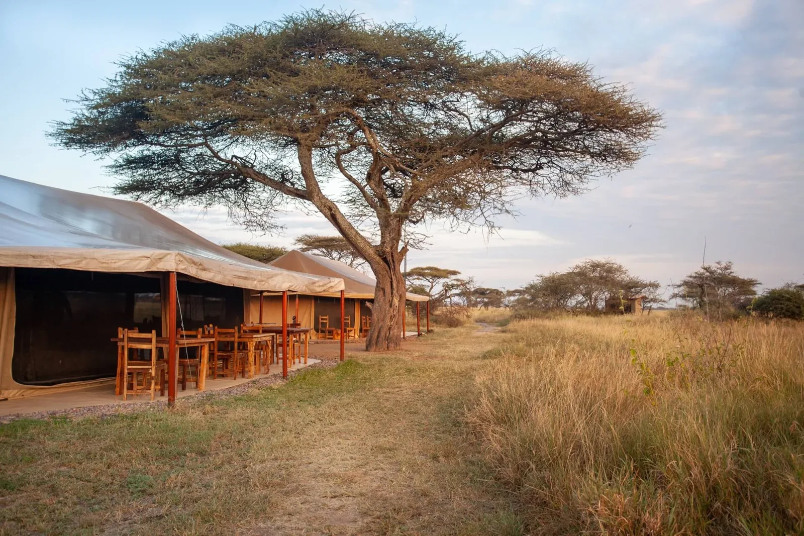 Mawe Tented Camp exterior in the Central Serengeti