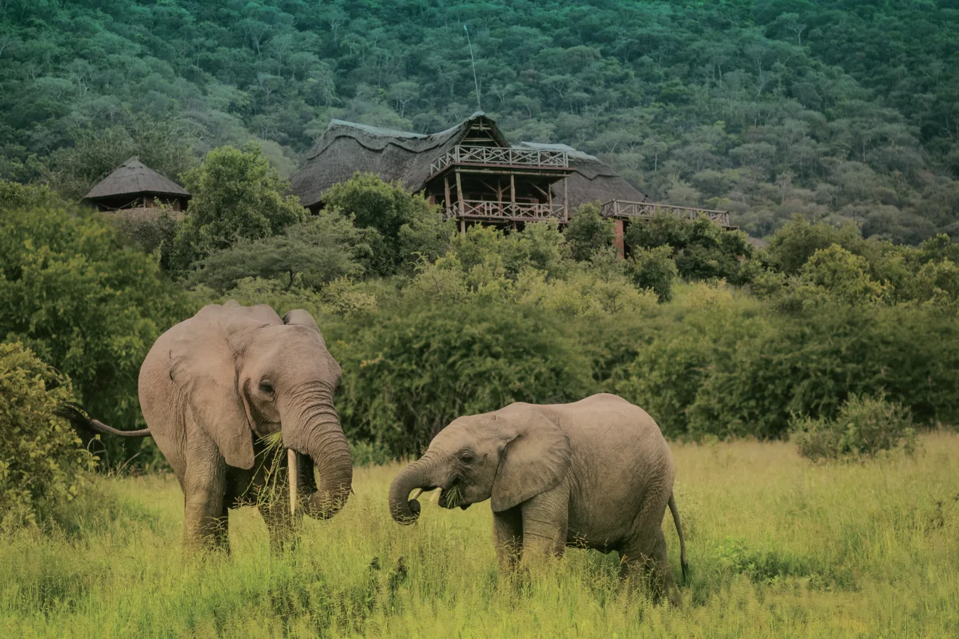 Exterior of Ruaha Hilltop Lodge in Ruaha National Park area