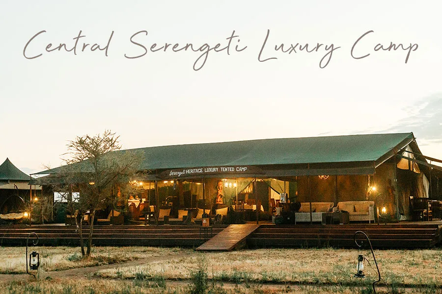 Exterior of Serengeti Heritage Tented Camp in Central Serengeti
