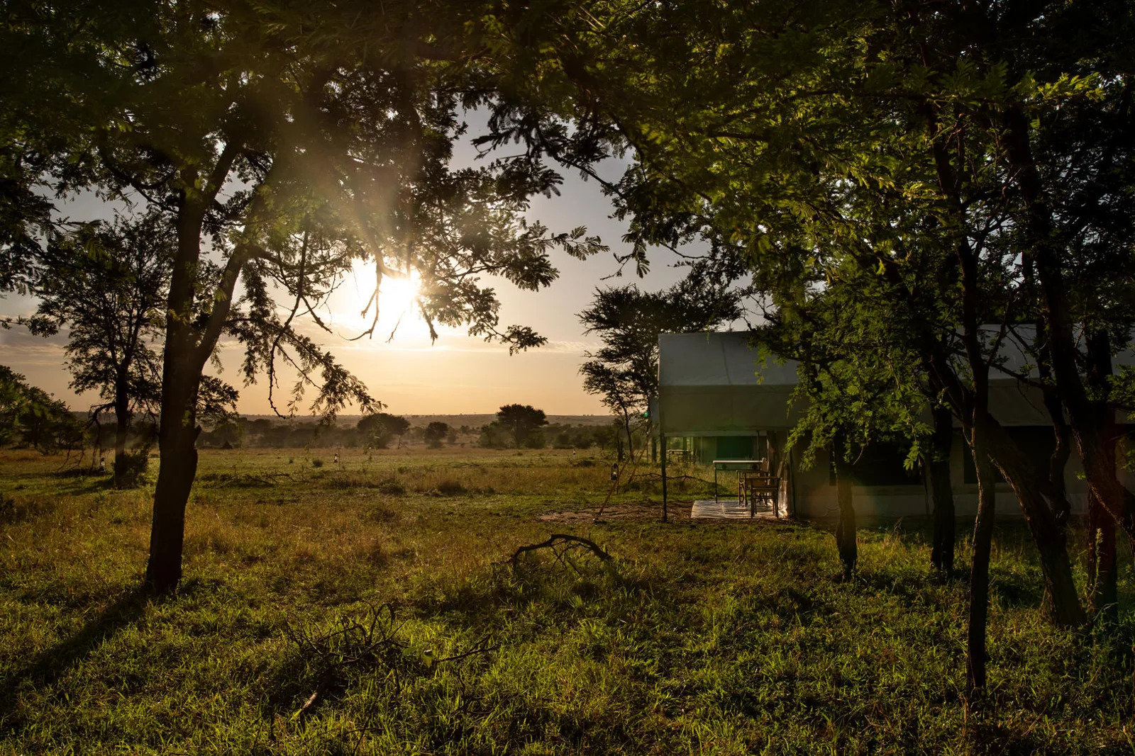 Serengeti Kati Kati camp exterior