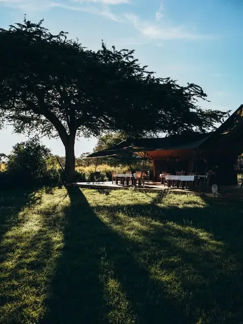 View of Asanja Ndembo in Ruaha National Park
