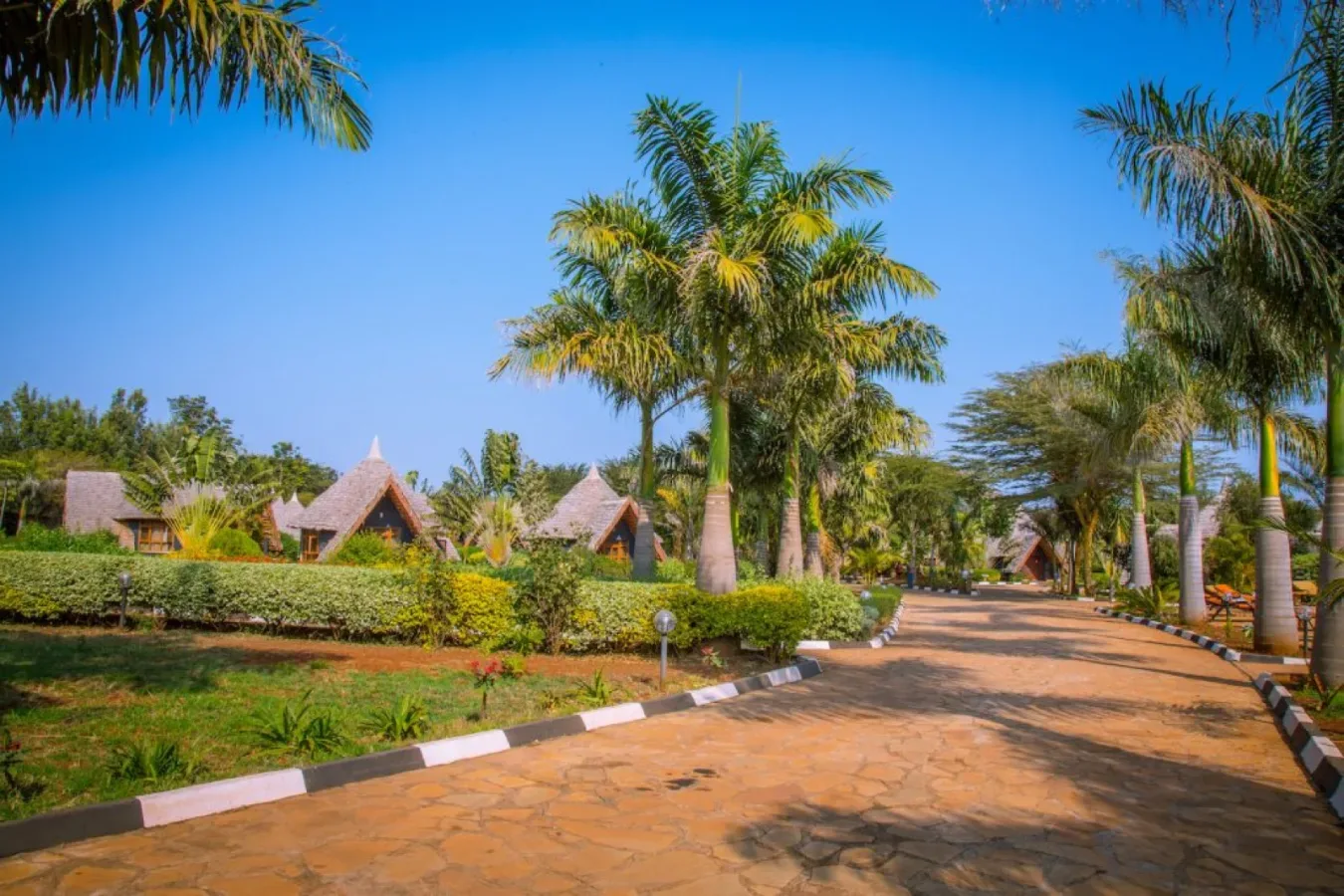 View of Farm of Dreams Lodge in Karatu