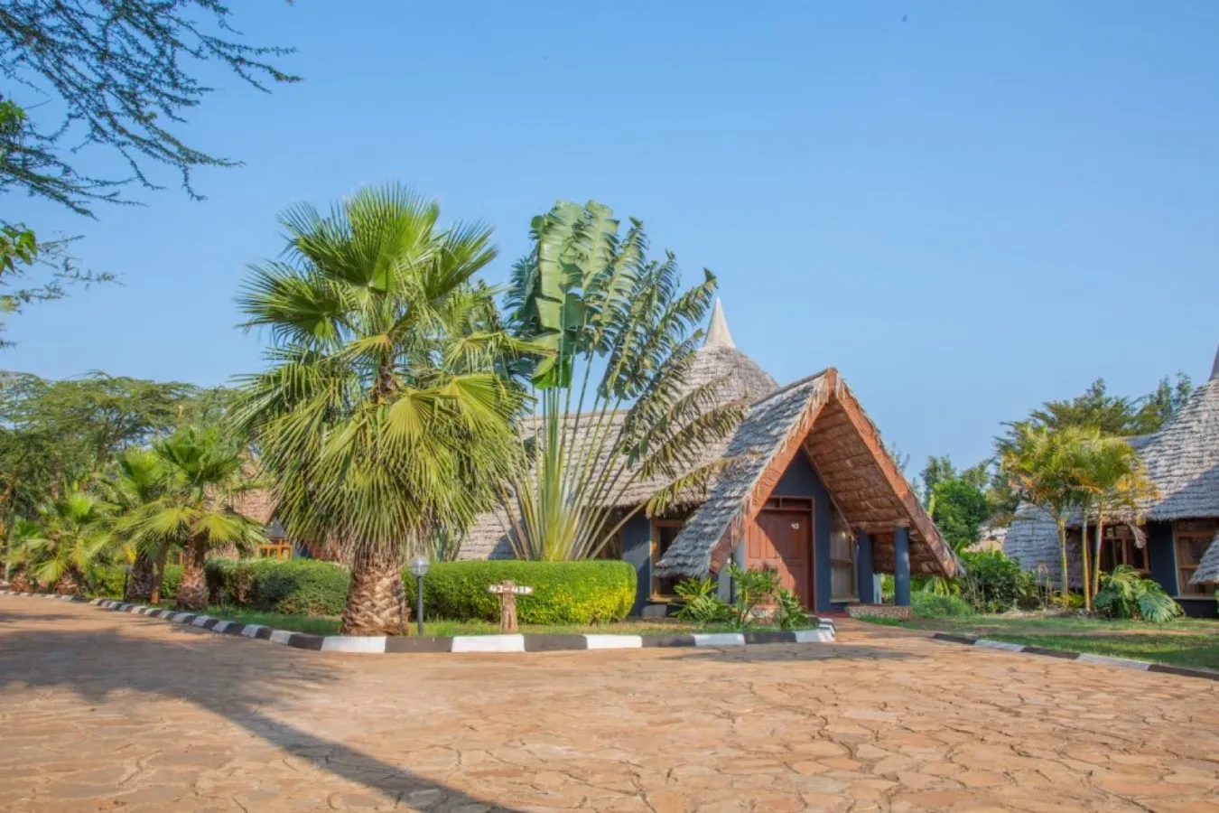 View of Farm of Dreams Lodge in Karatu