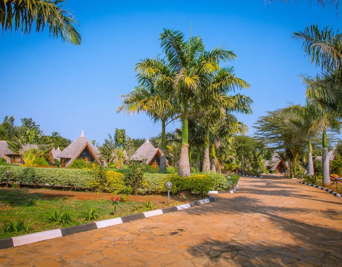 View of Farm of Dreams Lodge in Karatu