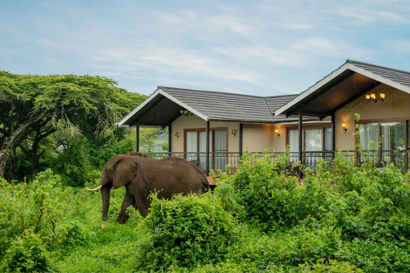 View of Ngorongoro Lion's Paw Camp in Eastern rim, Ngorongoro Conservation Area