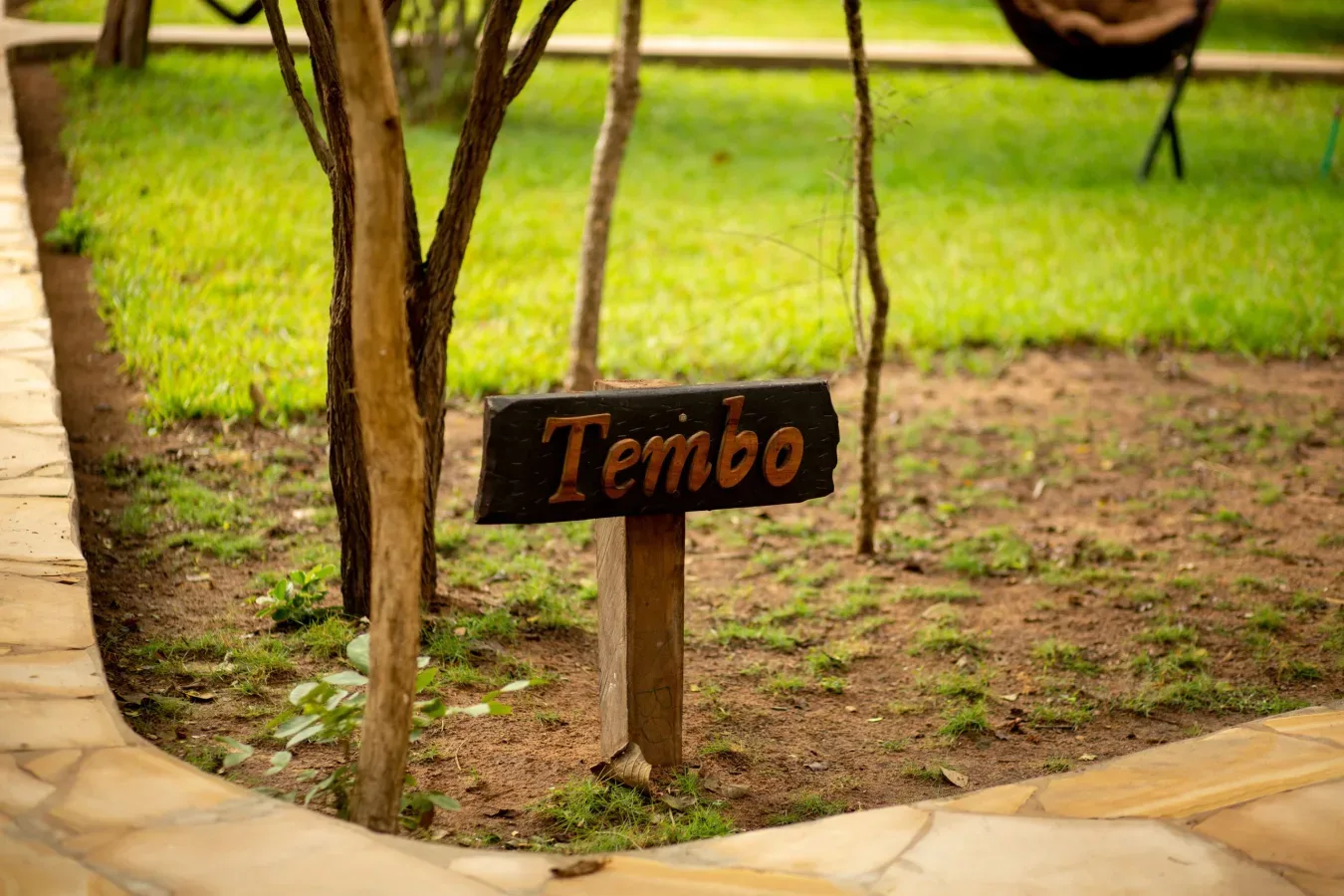 View of Selous Safari Lodge in Nyerere National Park area
