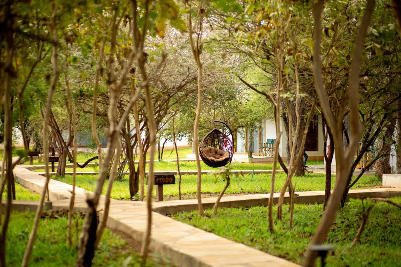 View of Selous Safari Lodge in Nyerere National Park area