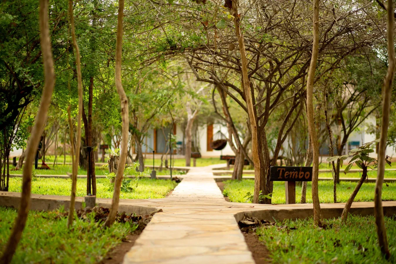 View of Selous Safari Lodge in Nyerere National Park area