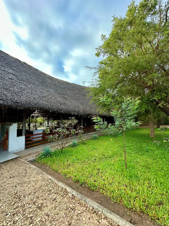 View of Selous Safari Lodge in Nyerere National Park area