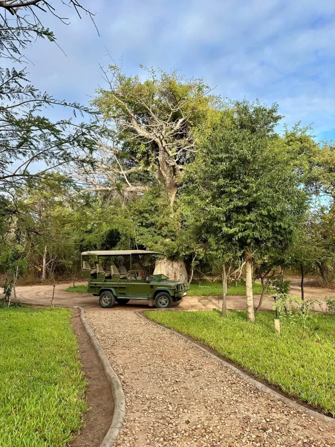 View of Selous Safari Lodge in Nyerere National Park area