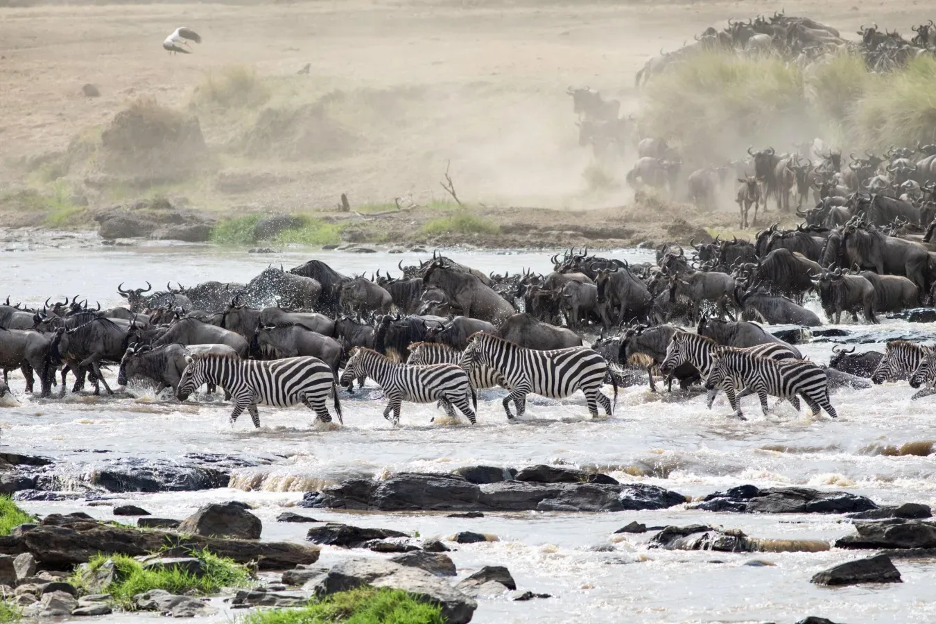 View of Serengeti Mara River Camp in Kogatende, Northern Serengeti