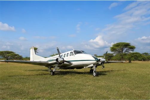 Light aircraft at an East African safari airstrip