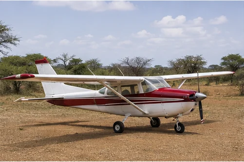 Light aircraft at a remote East African safari airstrip
