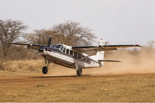 Light aircraft at an East African safari airstrip
