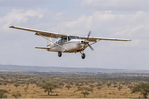 Light aircraft flying above East African savannah