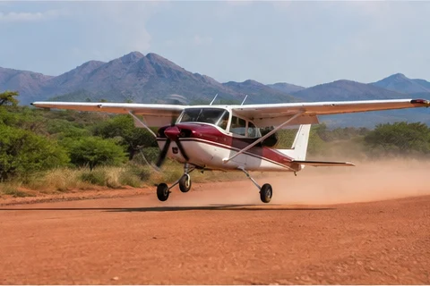 Light aircraft flying above East African savannah