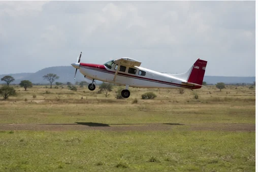 Light aircraft flying above East African savannah