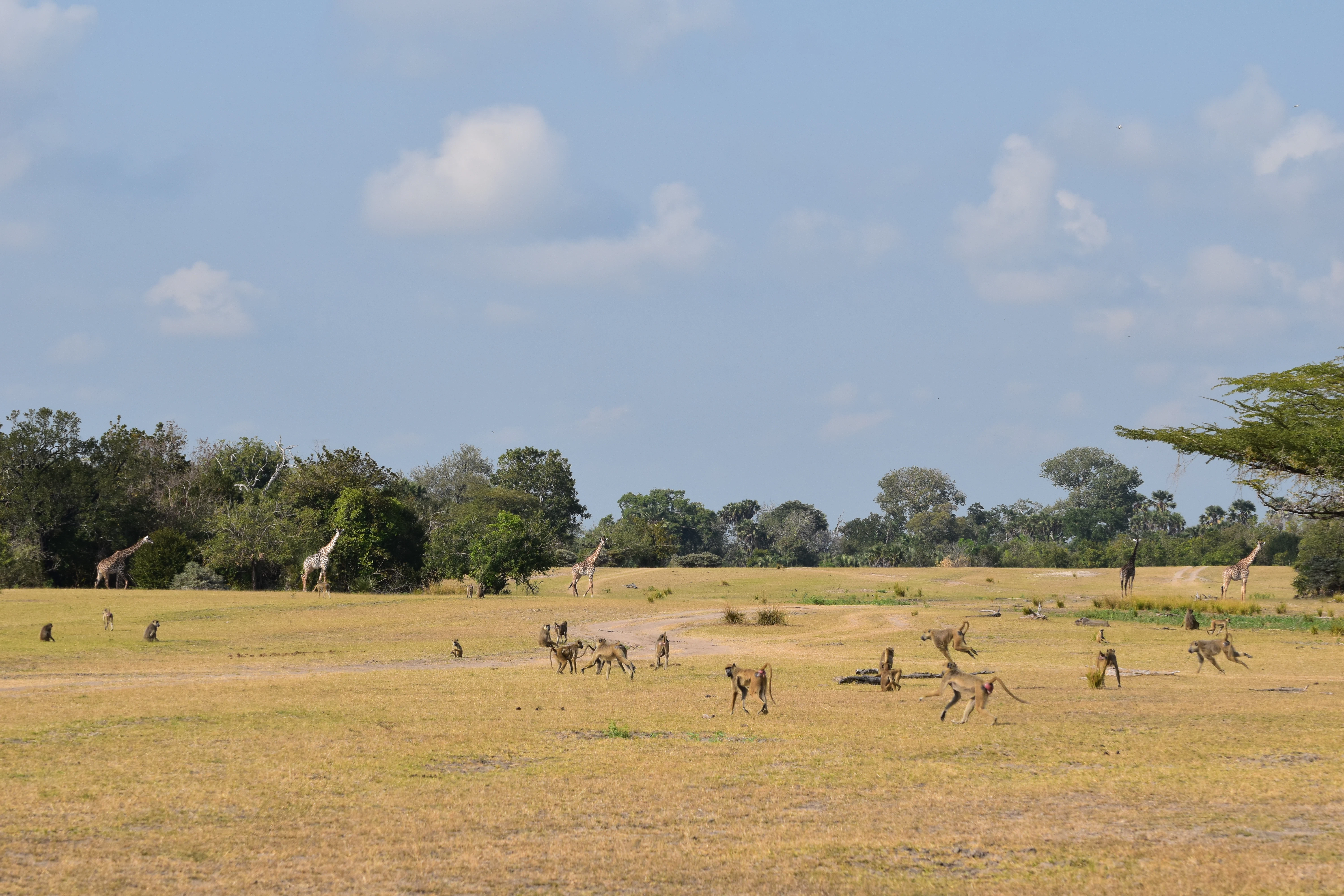 Bild der Reiseroute des Mikumi-Nationalparks
