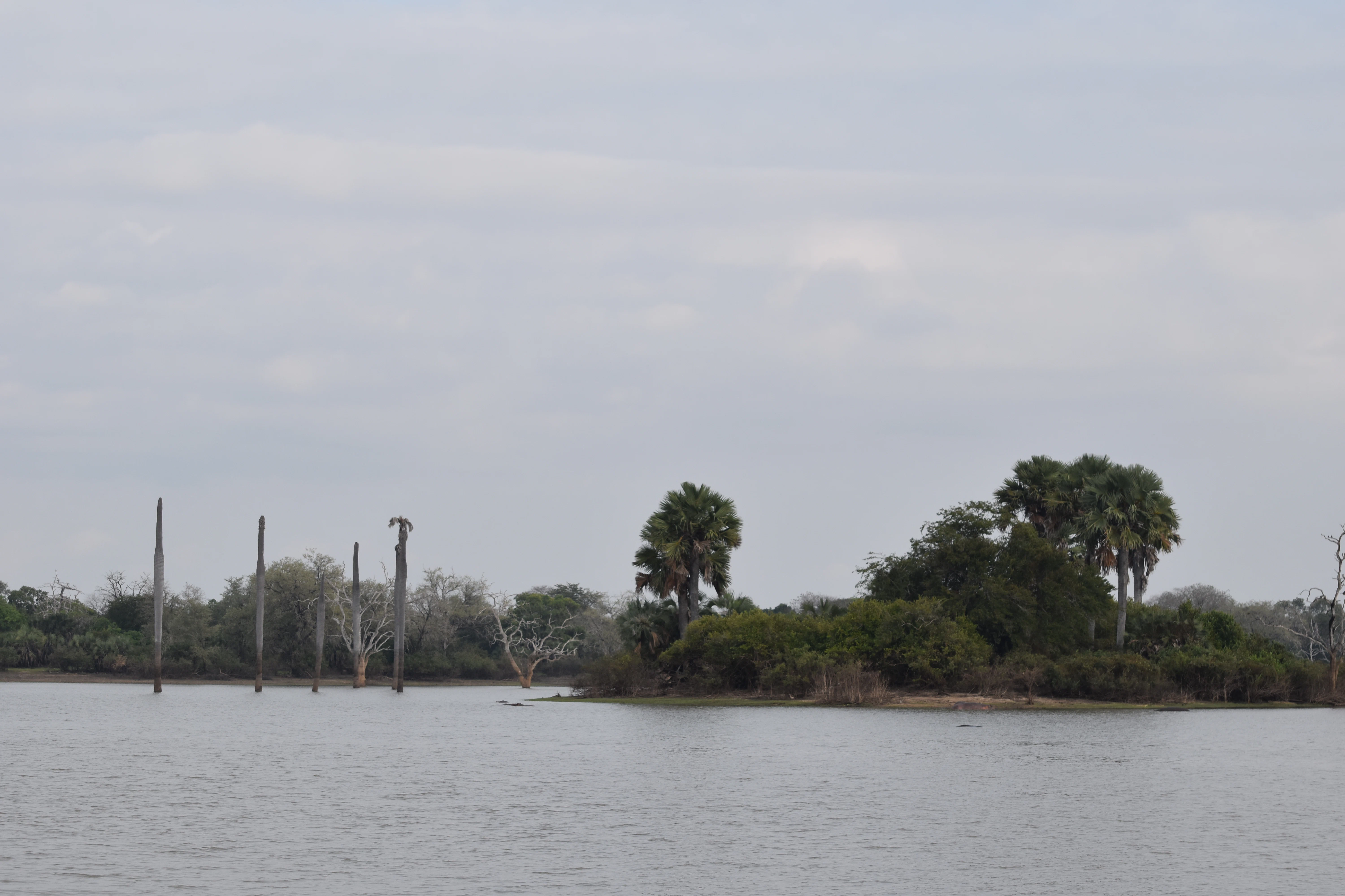 Bild der Reiseroute des Nyerere-Nationalparks