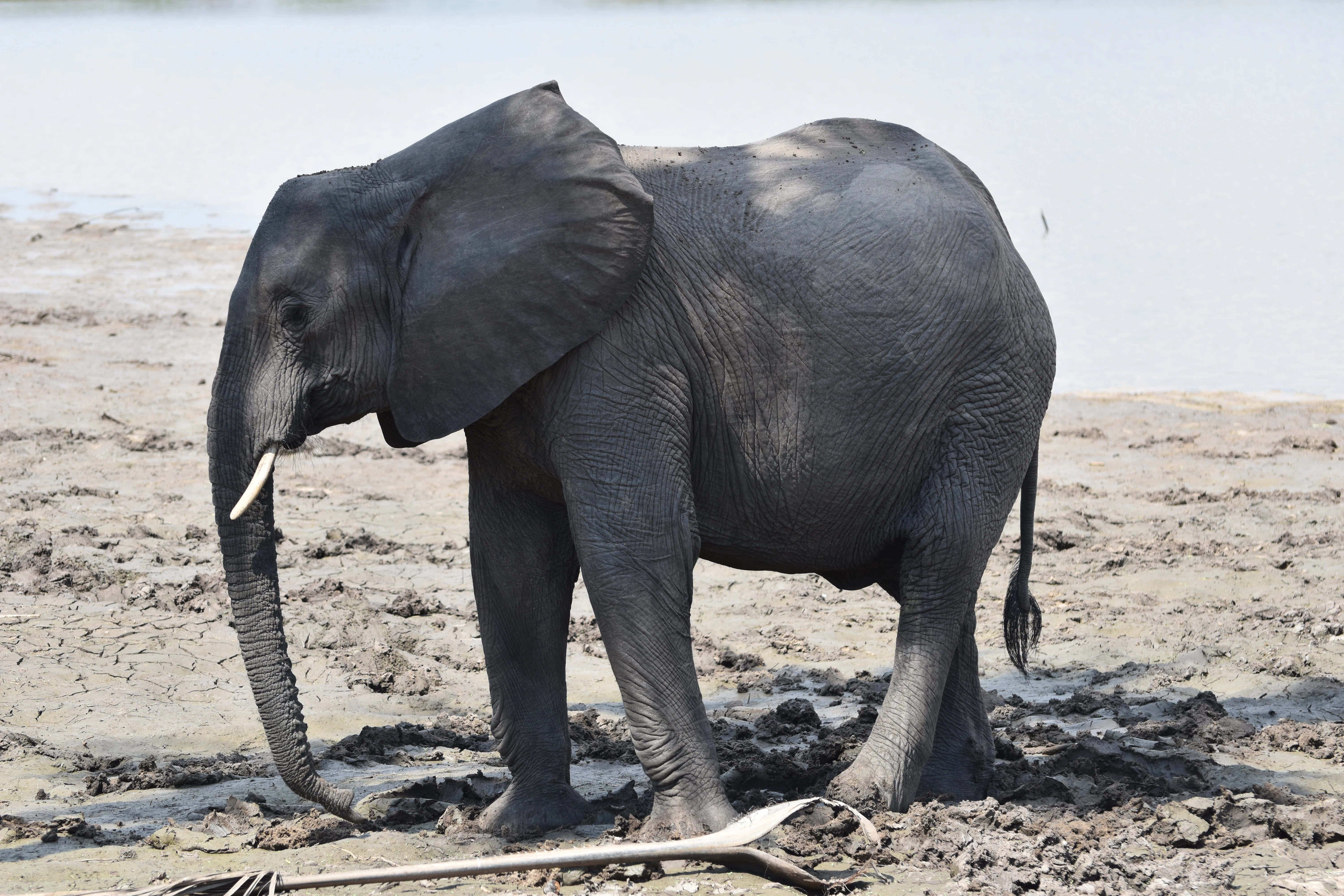 Bild der Reiseroute des Nyerere-Nationalparks