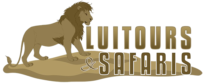 LuiTours logo