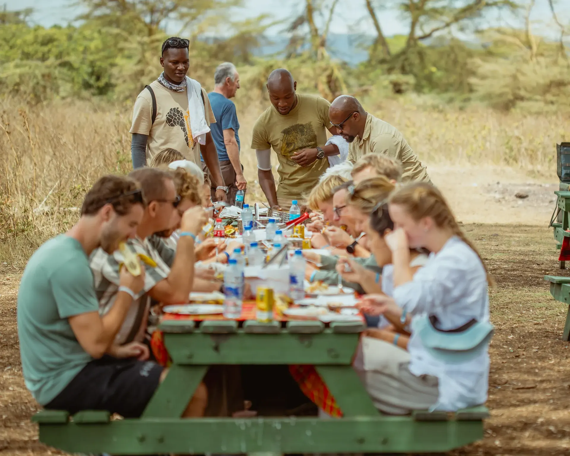 Safari bush dining experience showing a premium accommodation service