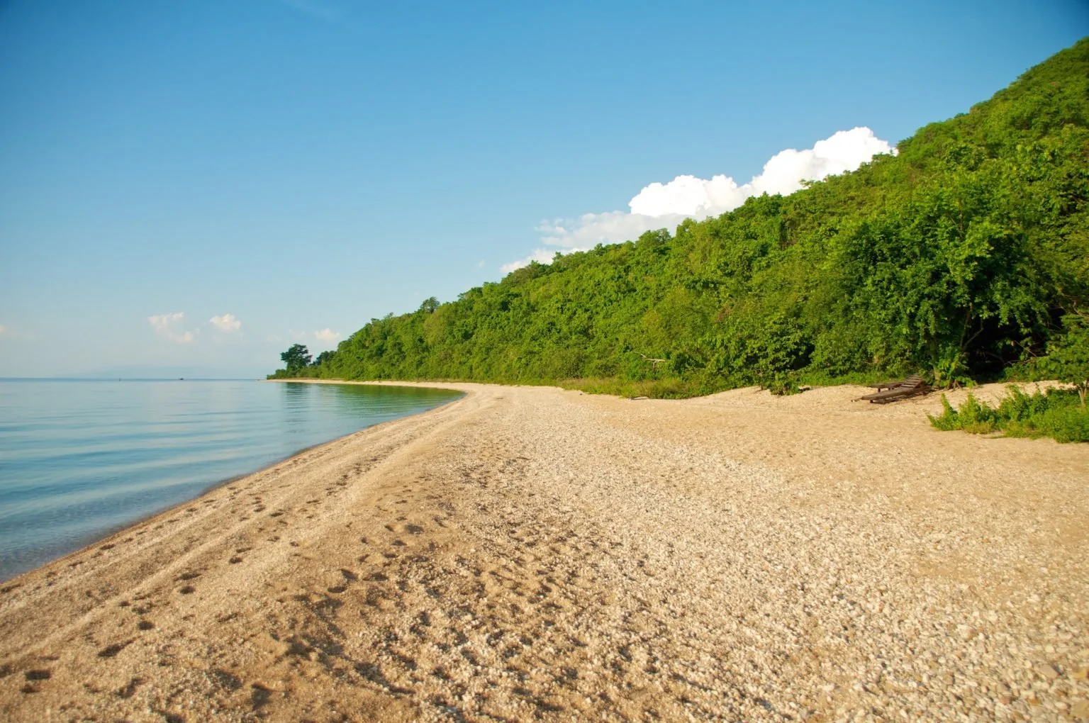 Lake Tanganyika and the forested Gombe shoreline