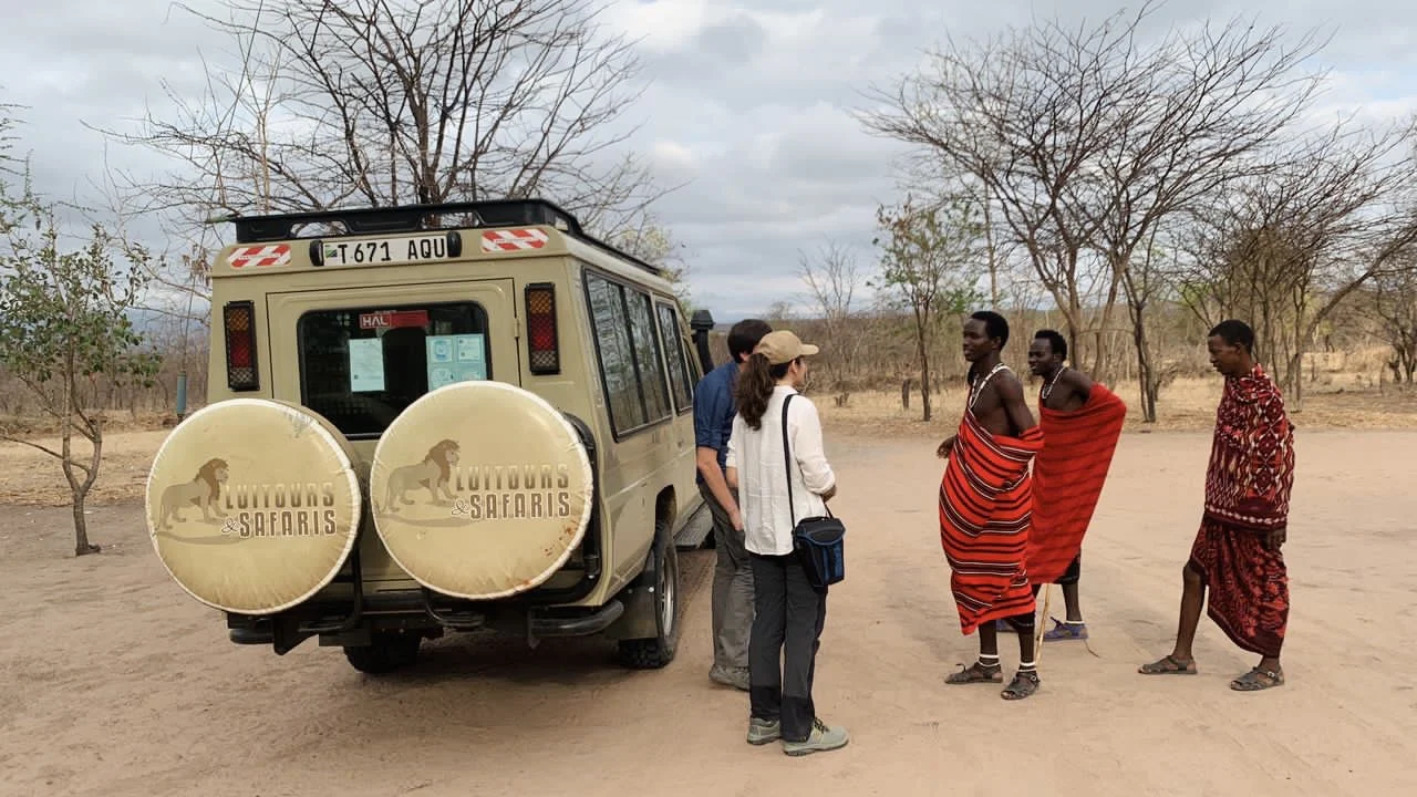 Tanzania natuurlandschap vertegenwoordigt het land toeristische ervaringen
