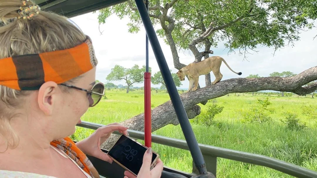 Mikumi National Park immagine itinerario