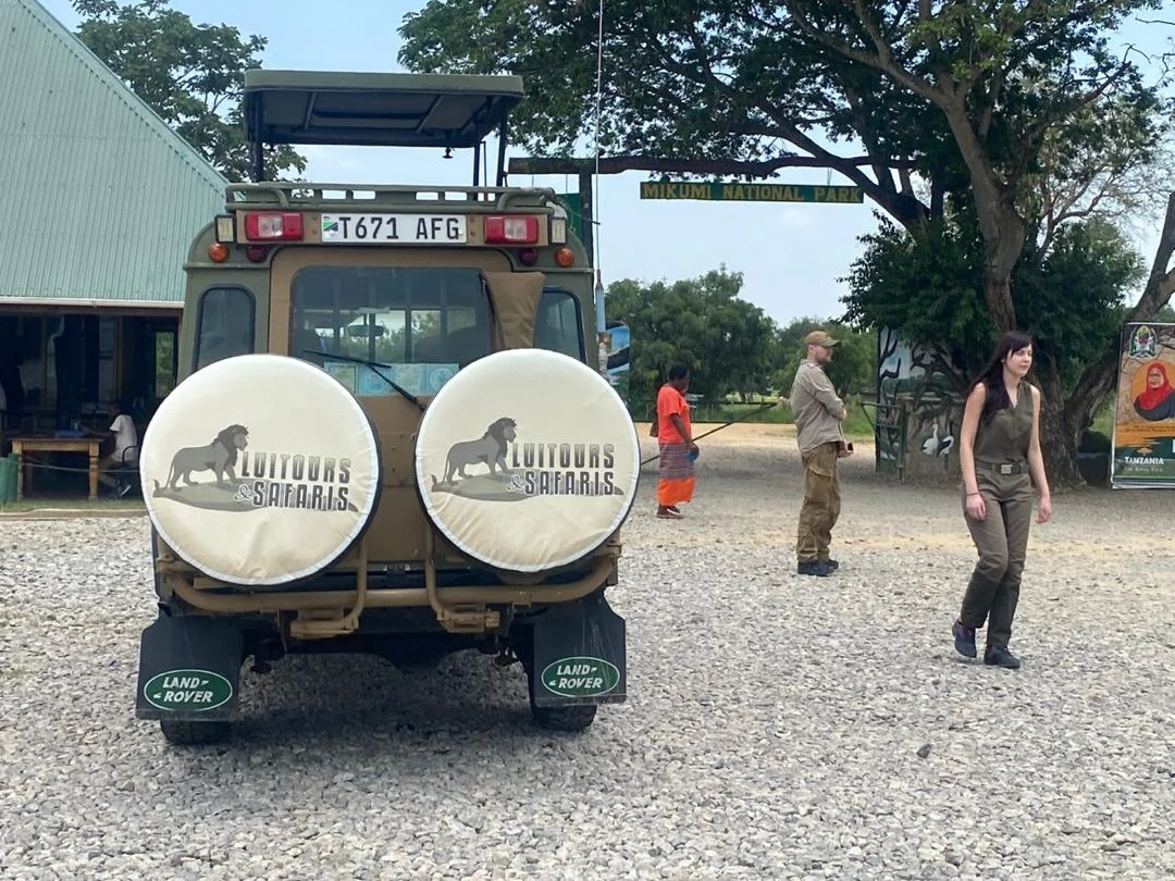 Mikumi National Park immagine itinerario