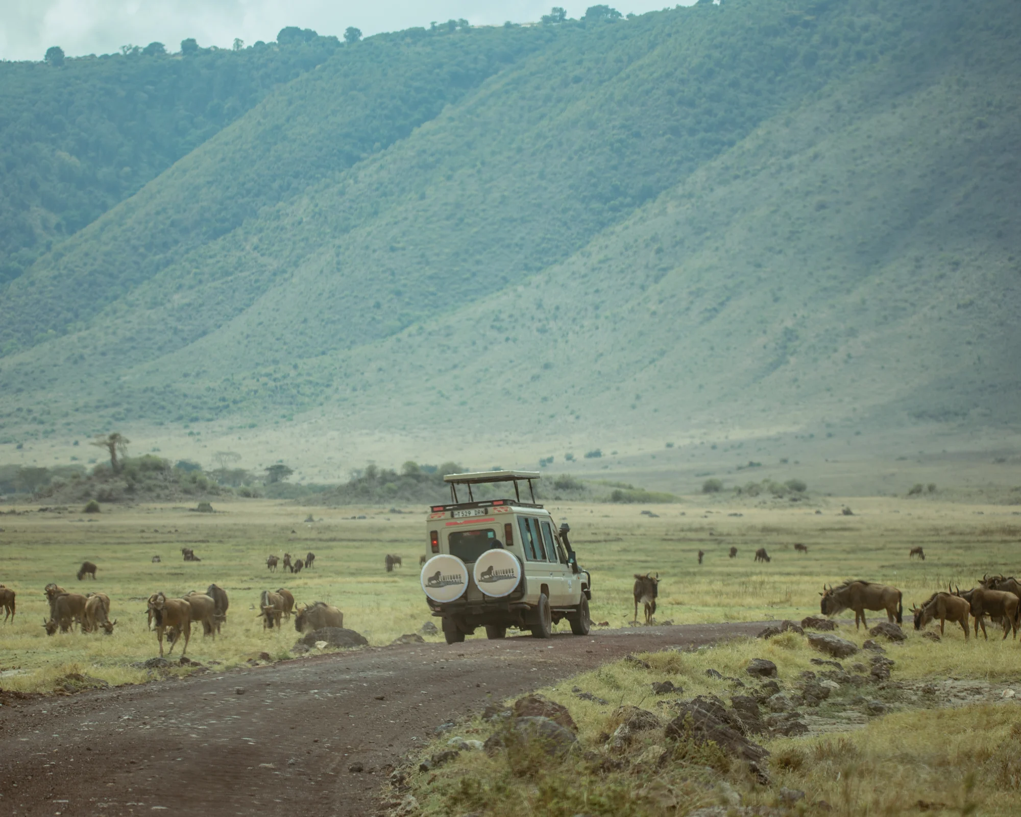 Immagine itinerario Ngorongoro