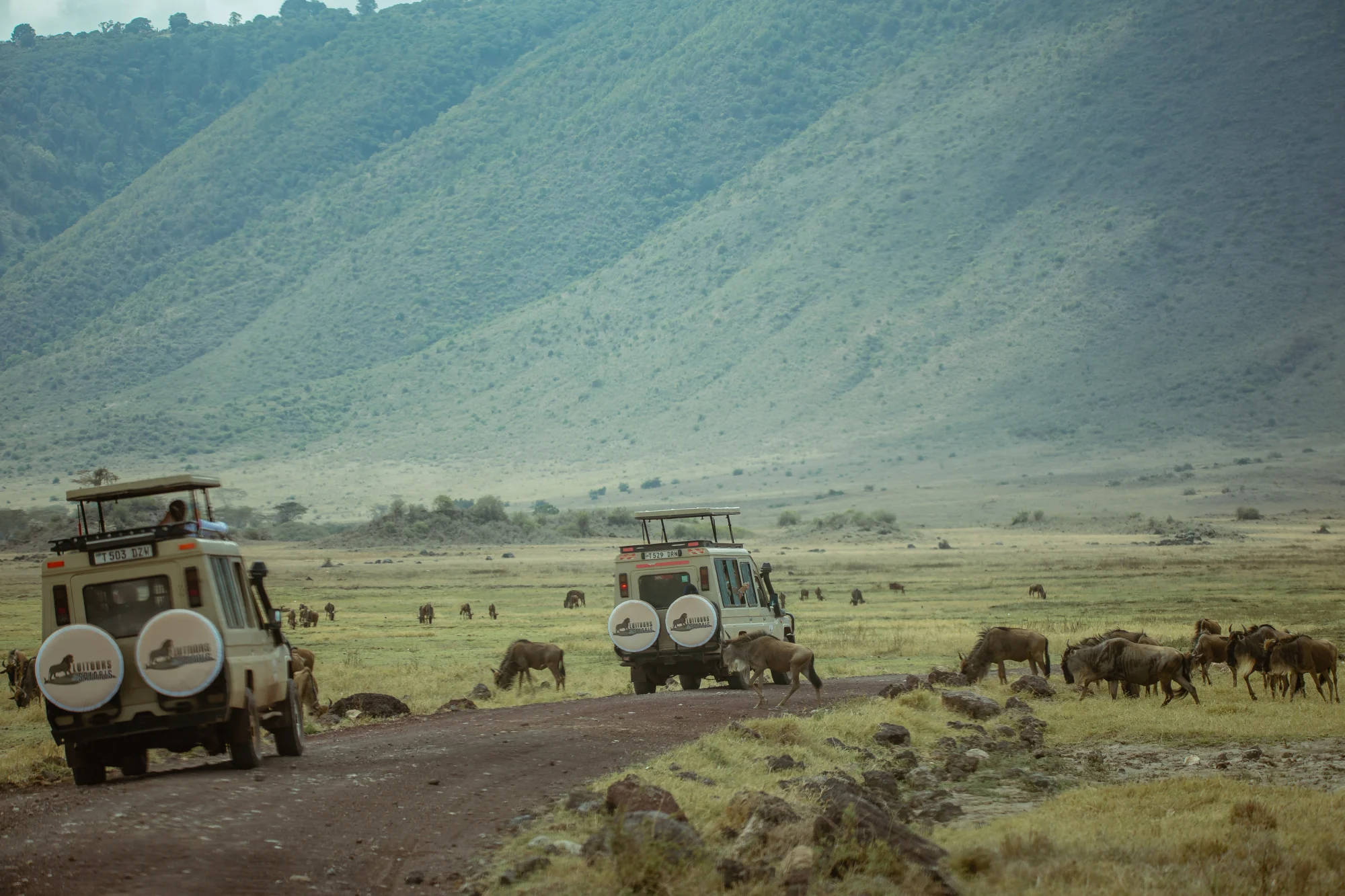 Bild der Ngorongoro-Reiseroute