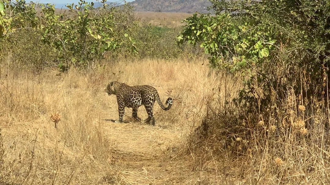 Bild der Reiseroute des Ruaha-Nationalparks