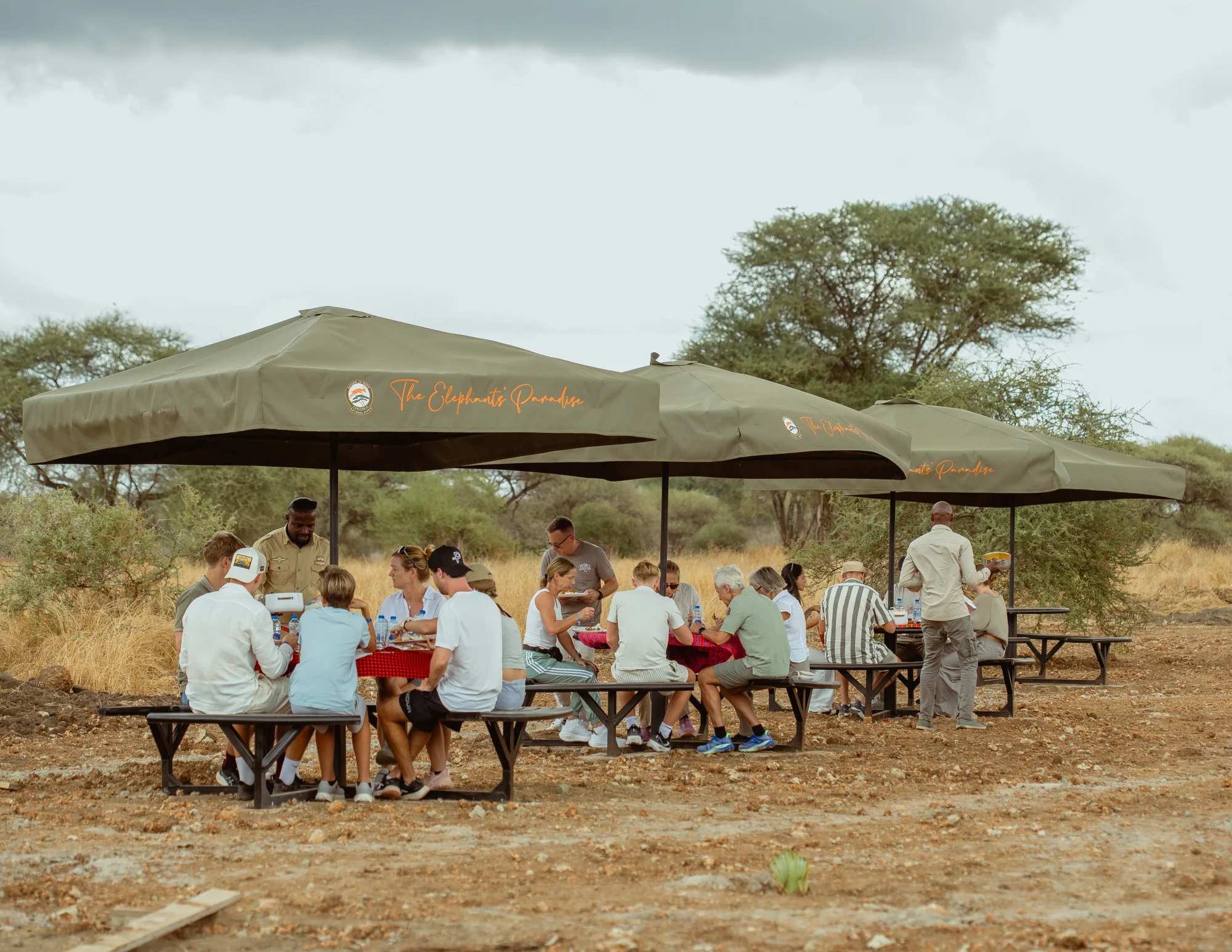 Safari w Parku Narodowym Ruaha
