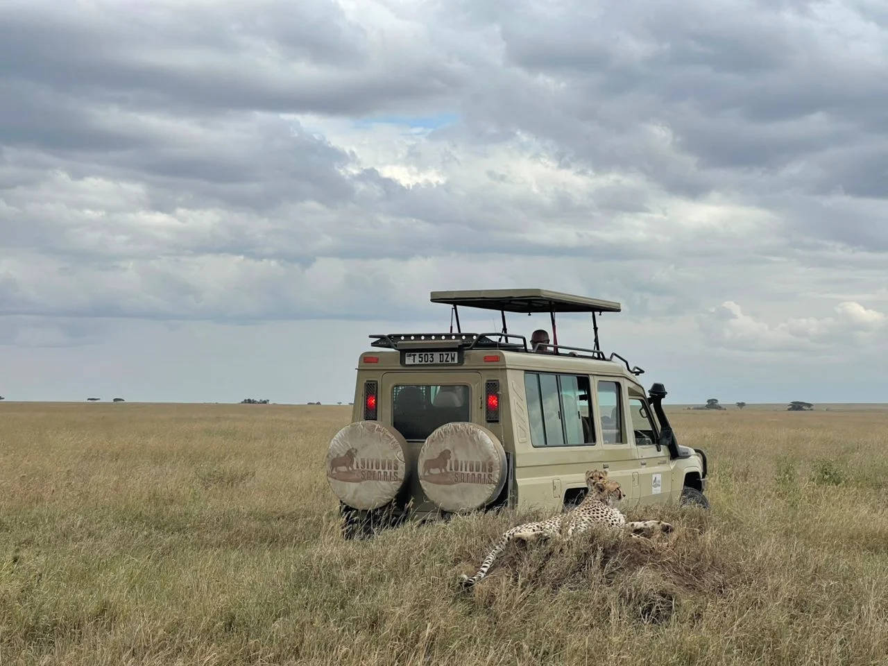 Bilde av Serengeti nasjonalparks reiserute