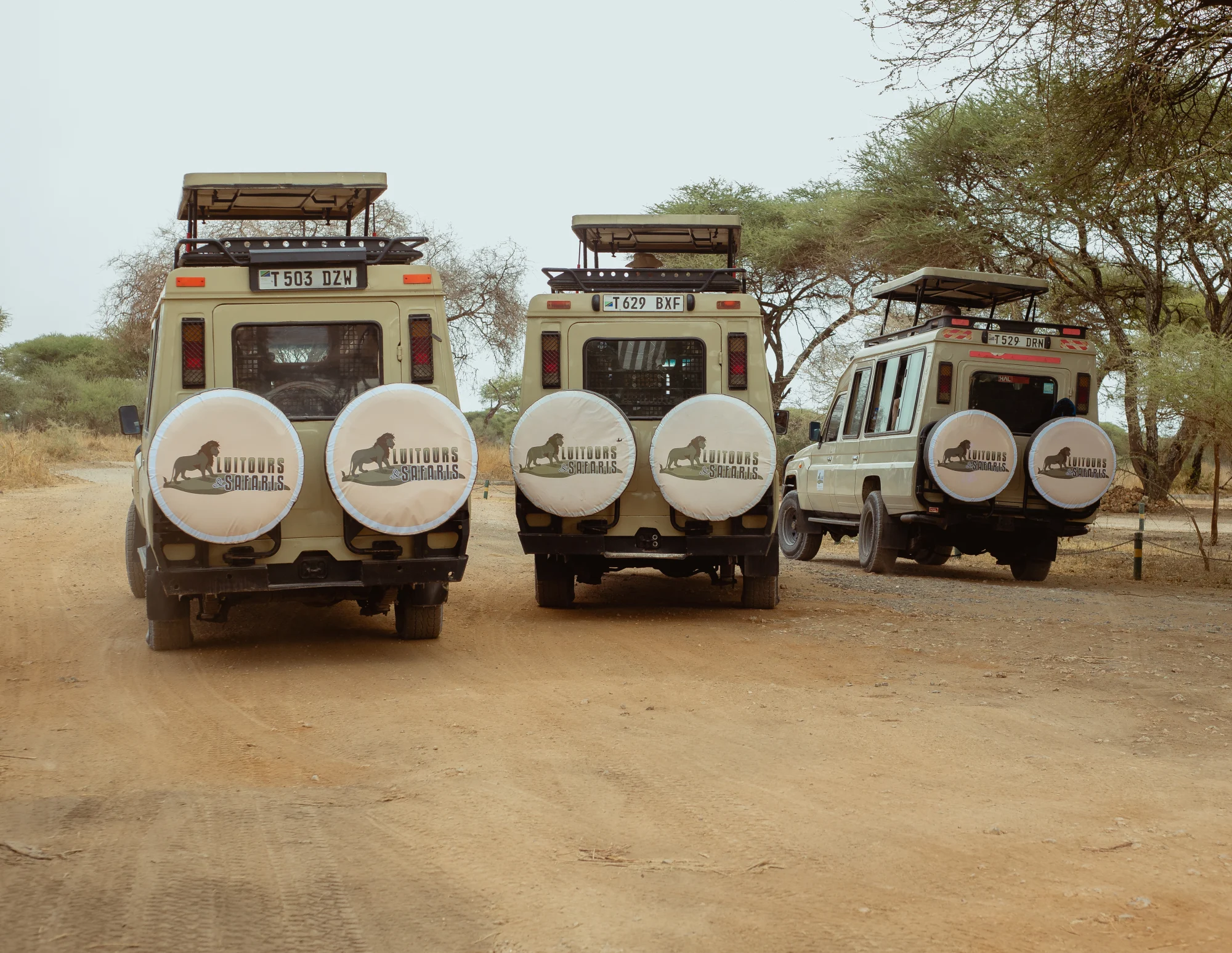 Serengeti National Park itinerary image