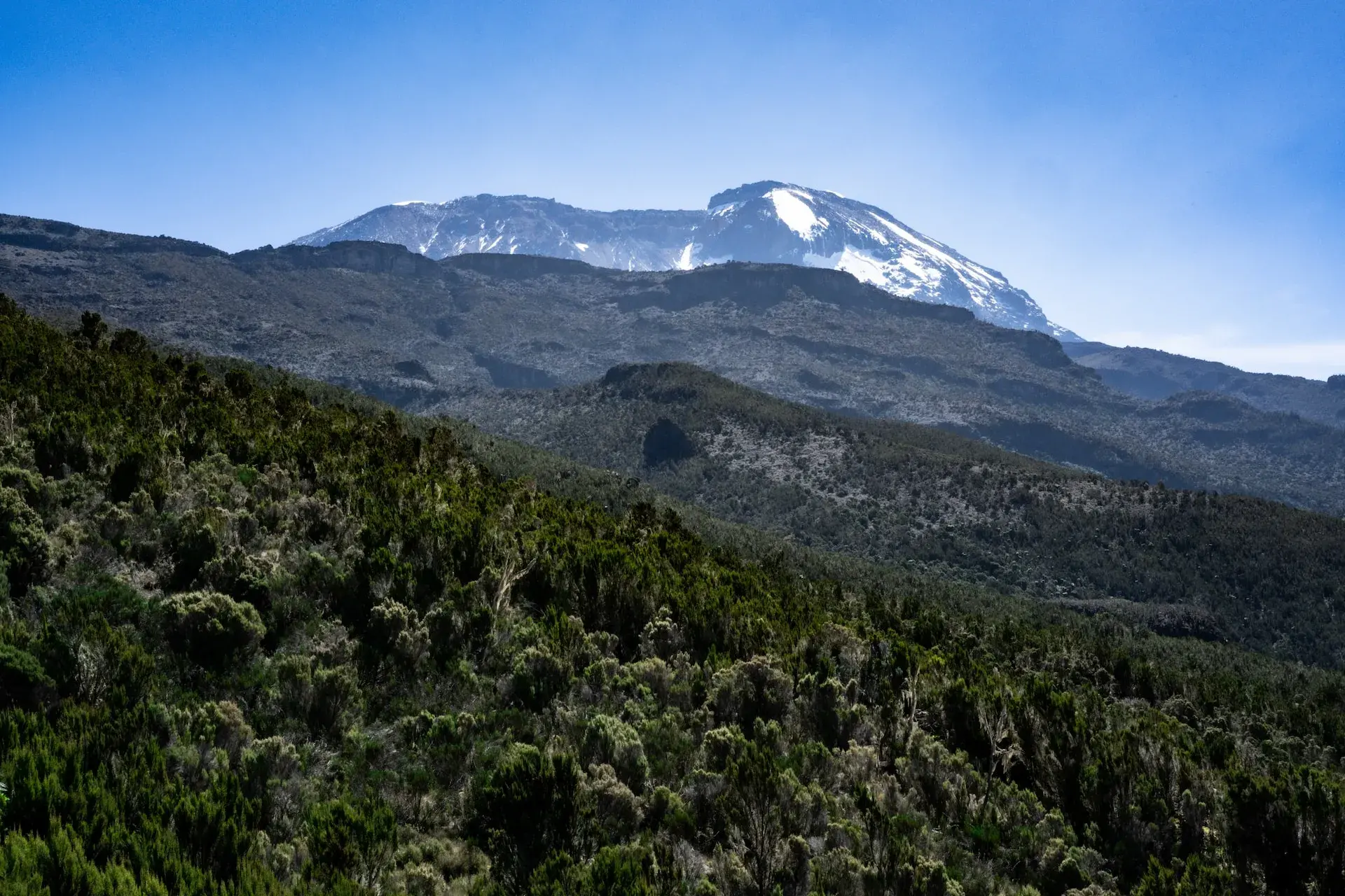 Trekkinglandschaft auf dem Kilimandscharo