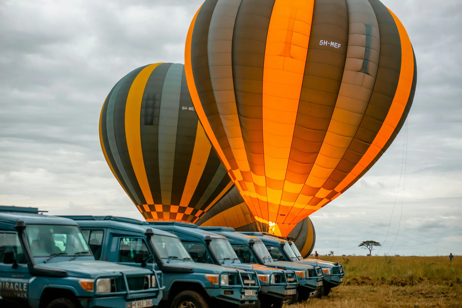 Hot air balloons over the Serengeti at sunrise