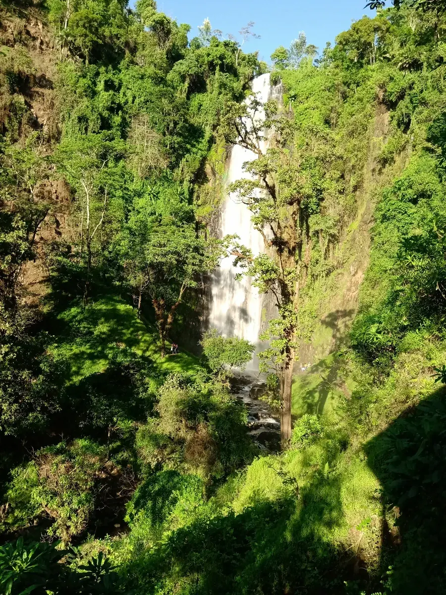 Sanje Waterfall and forest in Udzungwa