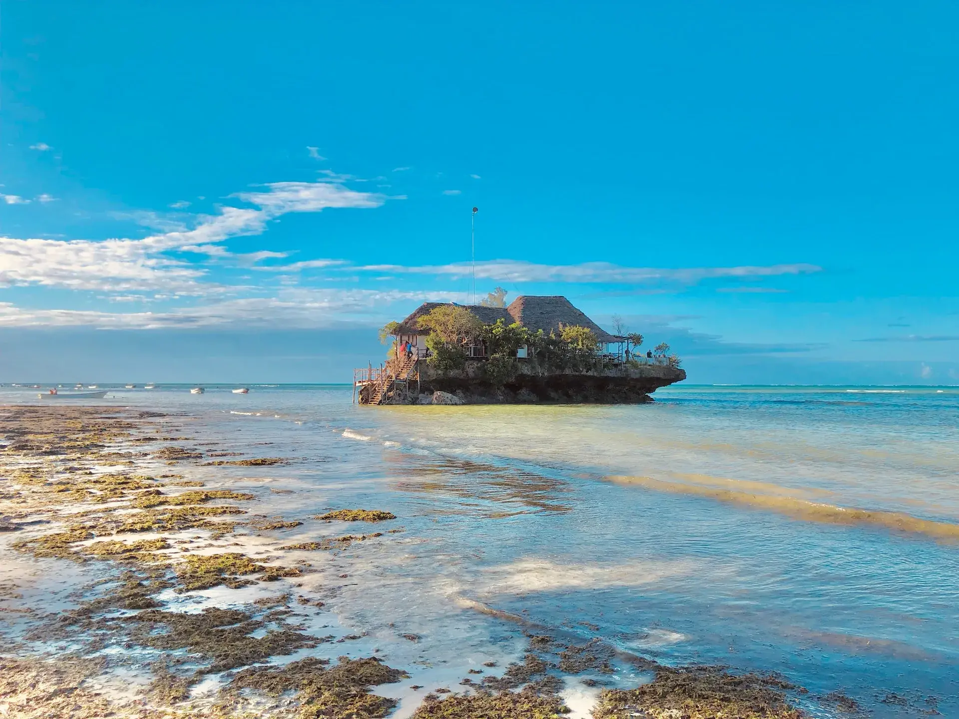 Iskustvo ostrva Zanzibar