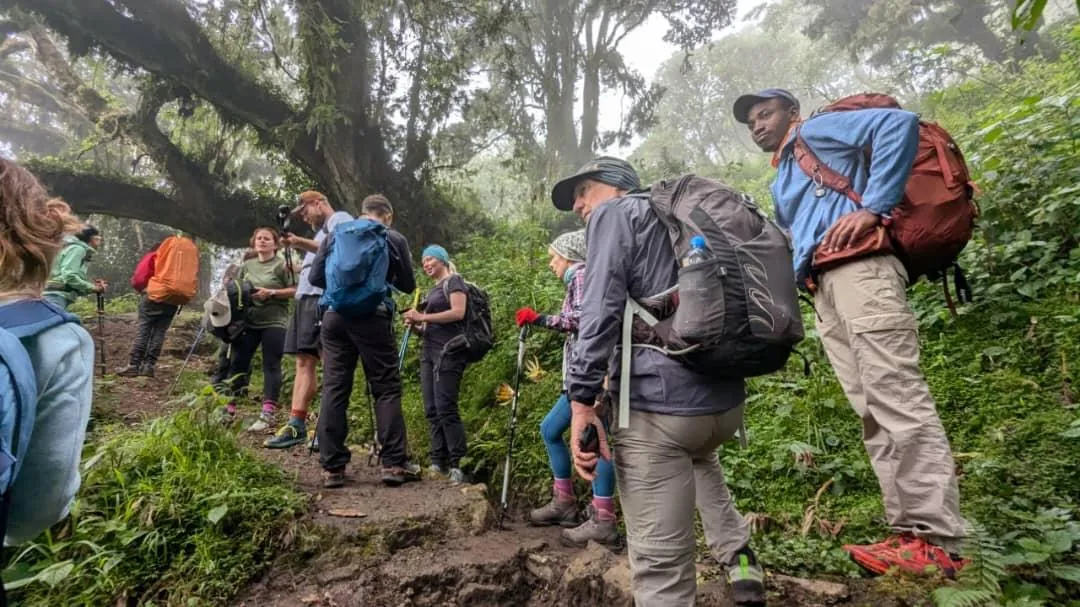 Highland trekking scenery in Tanzania