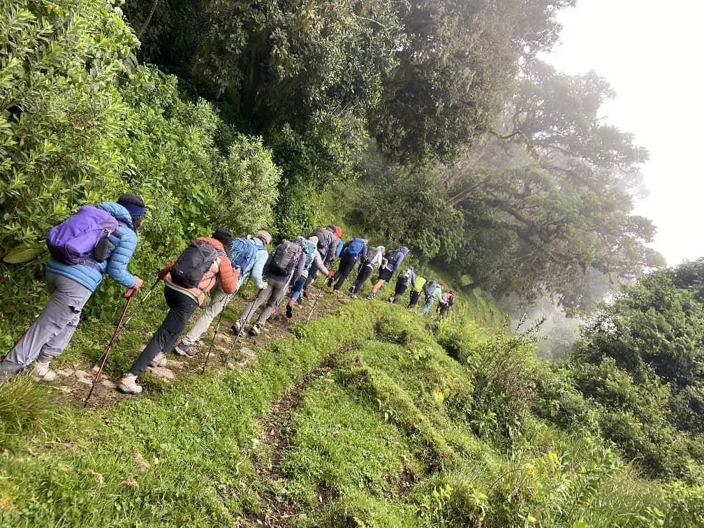 High altitude trekking landscape in Tanzania