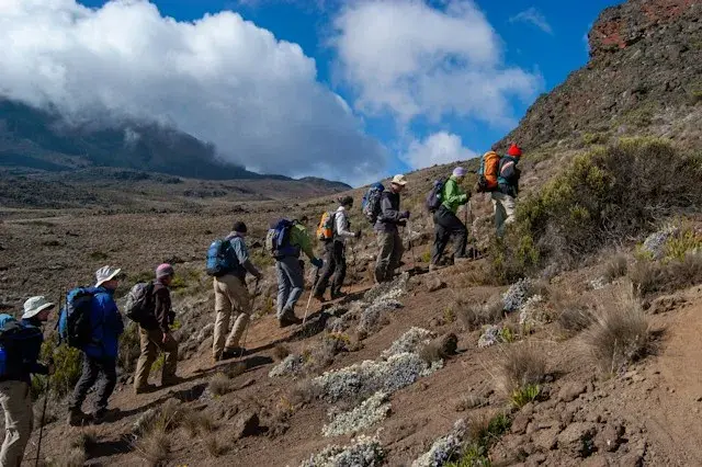 Kilimanjaro trekkers moving together on a high mountain trail