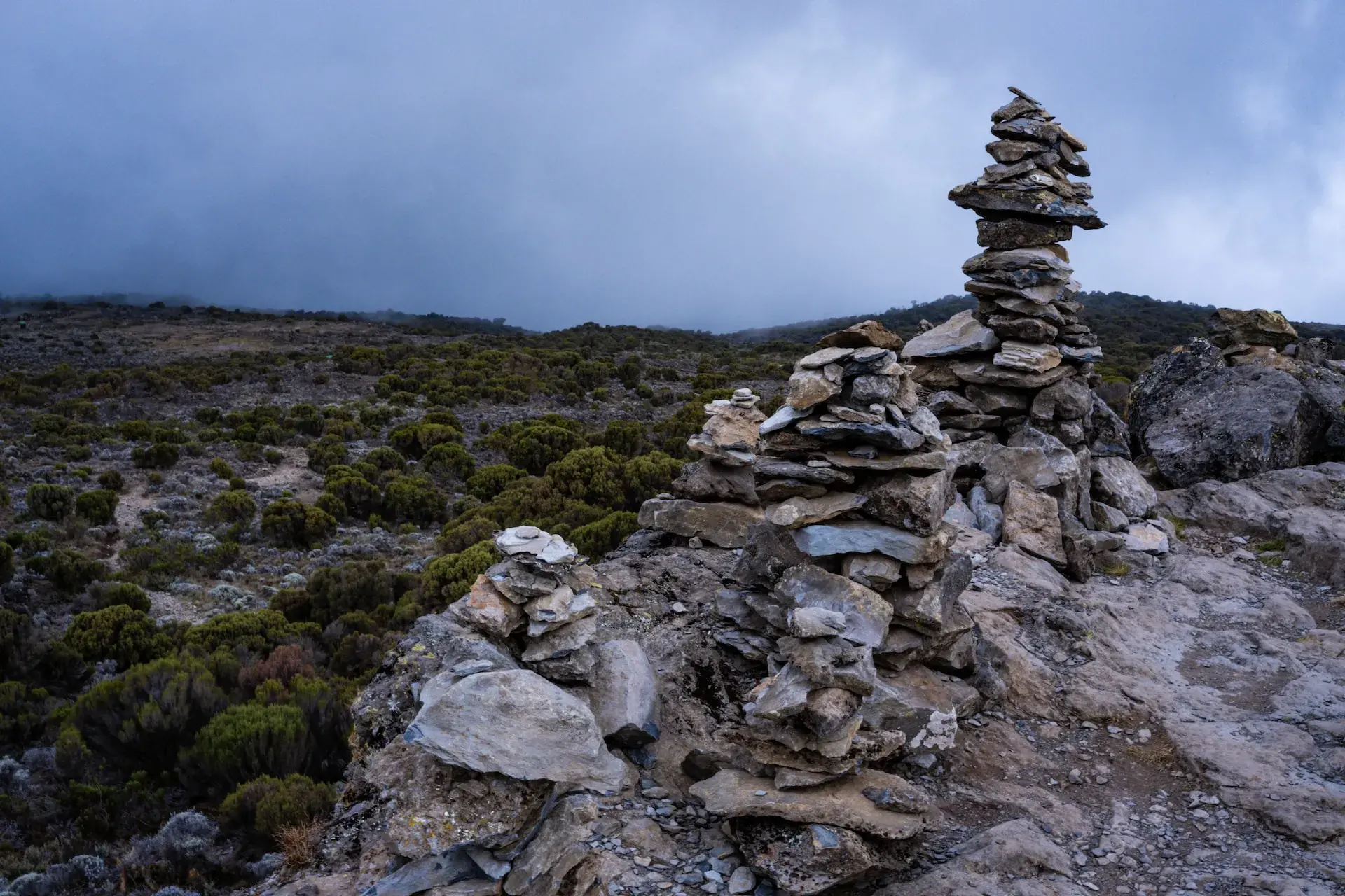 Shira Plateau experience